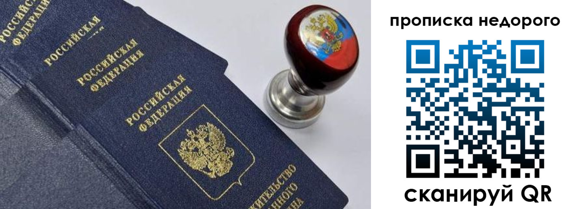 найти адрес прописки в Светлогорске