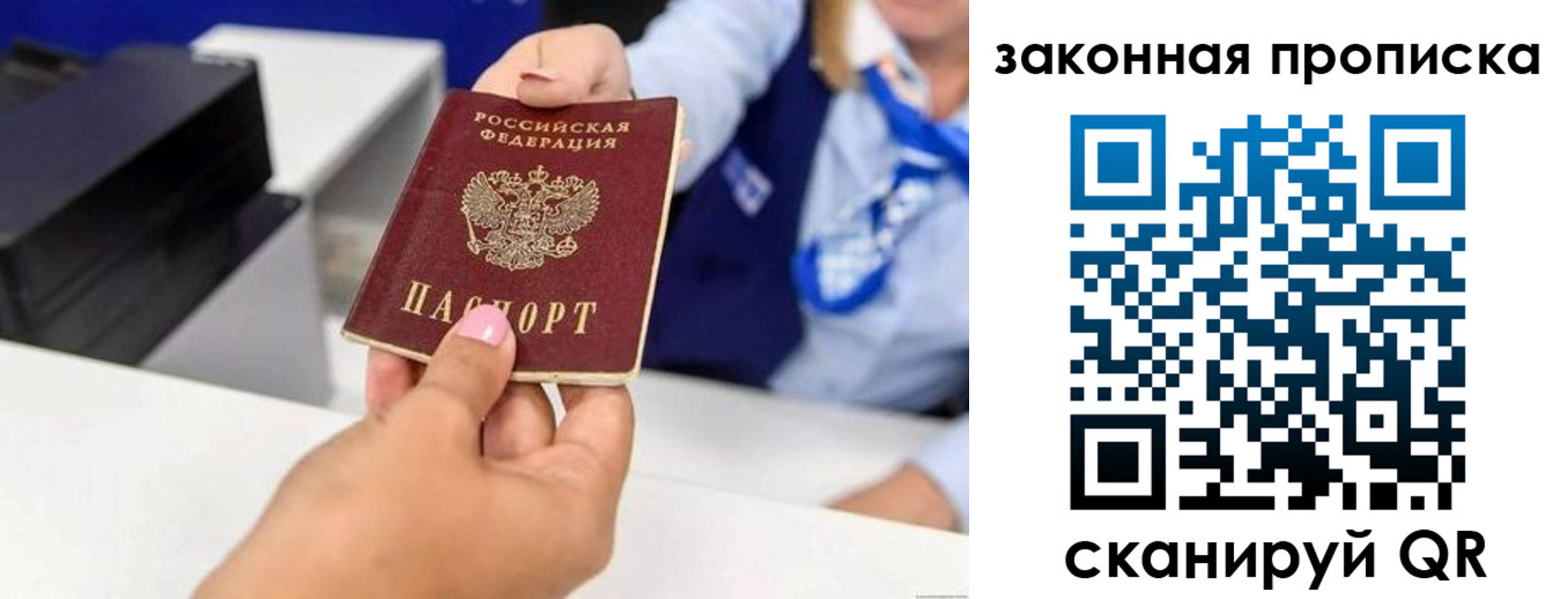 где прописаться в Светлогорске